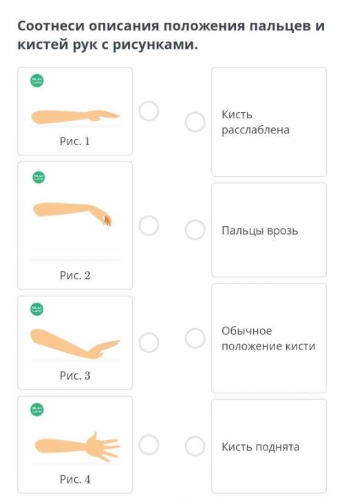 Соотнеси описания положения пальцев и кистей рук с рисунками.​
