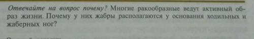 Отвечайте на вопрос почему? Многие ракообразные ведут активный об- раз жизни. Почему у них жабры рас