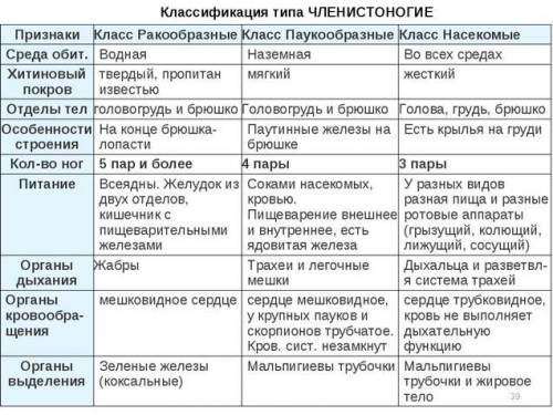 Сходства и различия классов типа Членистоногие (Ракообразные, Паукообразные, Насекомые)