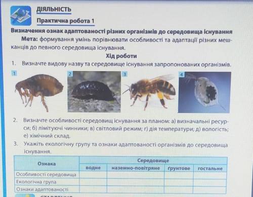 В 1 завданні 4 картинку, і 2 завдання​