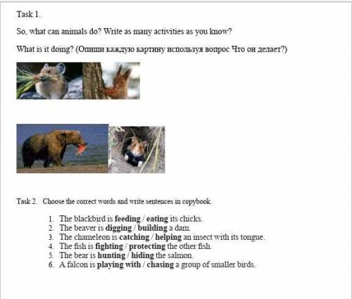 Task 1. So, what can animals do? Write as many activities as you know?What is it doing? (Опиши кажду