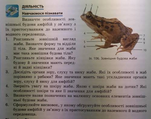 Визначте особливості зовнішньої будови амфібій у зв'язку з їх пристосуванням до наземного і водного