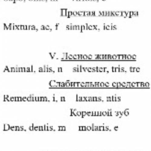 Латинский просклонять слова, V-задание, там 3 словосочетания Animal silvester и ещё два