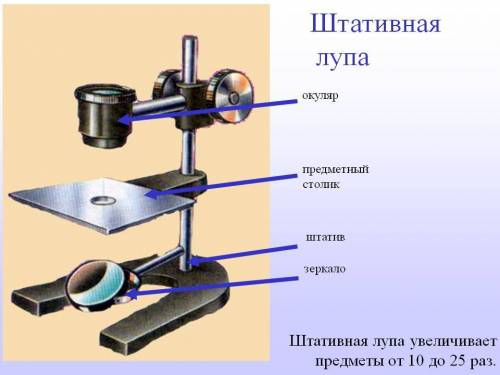 рассмотрите рисунок. подпишите названия увеличительных приборов, изображённых на нём. укажите назван