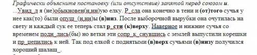 Спишите, вставляя пропущенные буквы, недостающие знаки препинания, раскрывая скобки.