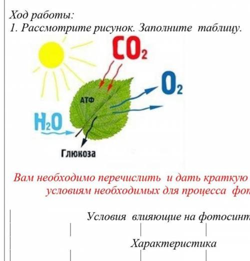 1. Рассмотрите рисунок. Заполните таблицу. Вам необходимо перечислить и дать краткую характеристику