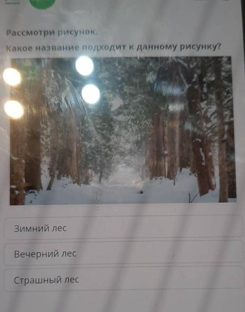 Расмотри рисунок Какое название подходит к данному рисунку ​