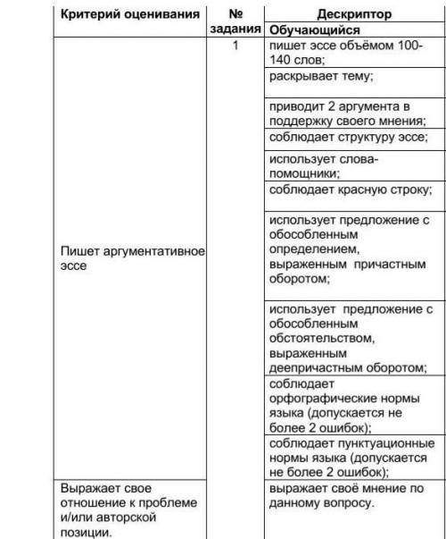 Пишет аргументативное эссе