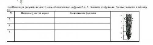 Используя рисунок, назовите зоны, обозначенные цифрами 2, 4, 5. Назовите их функции. Данные занесите