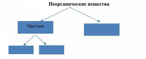 Задание 3.    Заполни кластер                                        Неорганические вещества