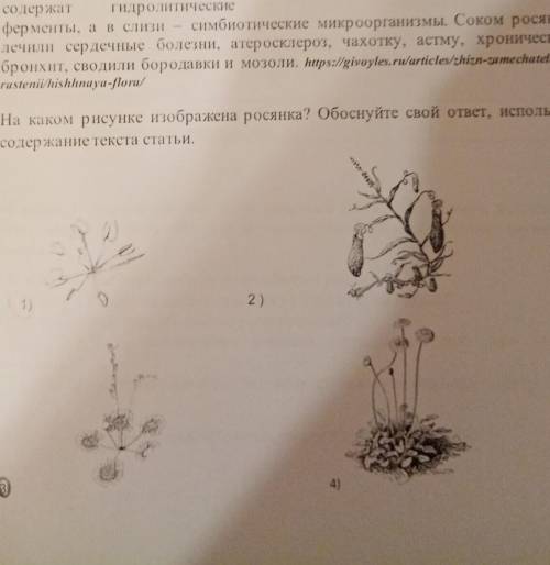 На каком рисунке изображена росянка? Обоснуйте свой ответ, используя содержание текста статьи Надо о