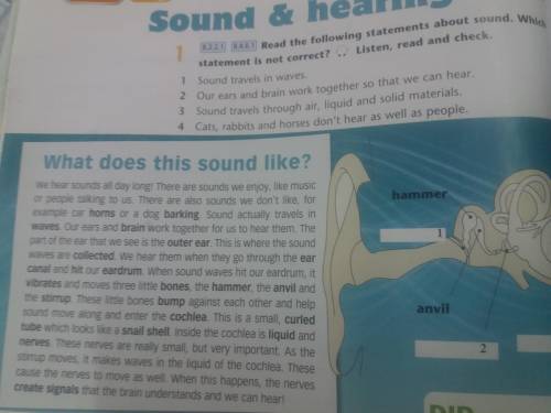 Read the following statements about sound. Which statement is not correct? , Listen, read and check.