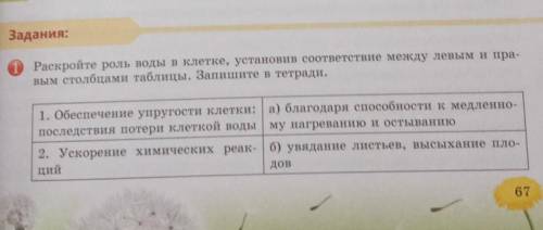 1 Раскройте роль воды в клетке, установив соответствие между левым и пра- вым столбцами таблицы. Зап