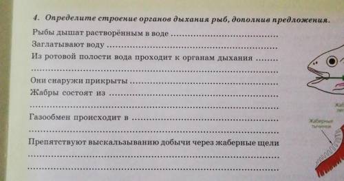 Определите строение органов дыхания рыб дополнив предложения. Предложения на картинке. ​