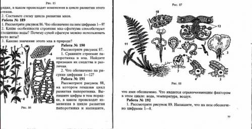 сделайте номер 191 , Биология 7 класс