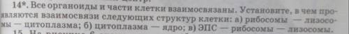 Задание на картинке дайте нормальный ответ с пояснением