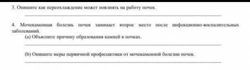 3 опишите как переохлаждение можеть повлиять на раоботу почек 4 и с четверым