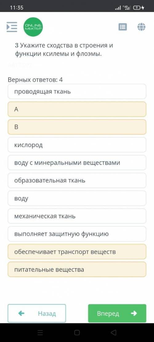 ТЕКСТ ЗАДАНИЯ Проводящий пучок-основной элемент проводящей системы растений, состоящий из ксилемы и