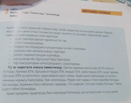 Выпишите предложения с сан есім из текста и переведите​