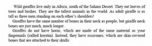 Task 2. Match the halves of the sentences A. three men standing on cach other's1. They catshoulders2