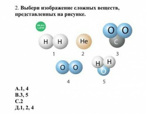 Естествознание 6 класс сор​