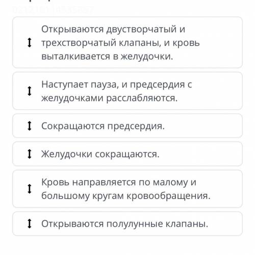 Определи последовательность сердечного сокращения￼￼ Открываются двустворчатый и трехстворчатый клапа