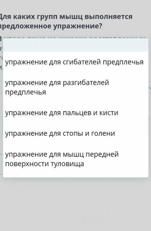 Для каких групп мышц выполняется предложенное упражнения?