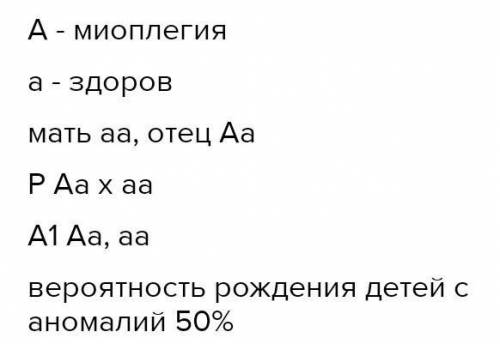 Полидактилия(многопалость) наследуется как доминантный признак. Определите вероятность рождения дете