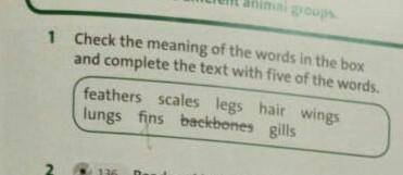 1 Check the meaning of the words in the and complete the text with thefeathers scales leslungs fins