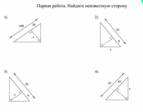 Парная работа. Найдите неизвестную сторонуну мне ●_●​