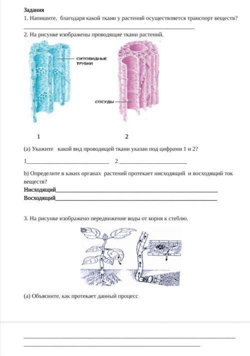Решите сор по биологии 7 класс транспорт веществ