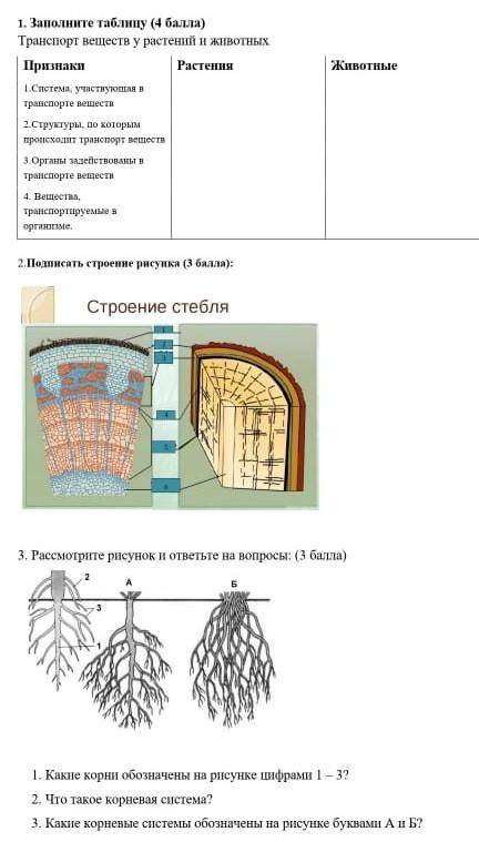 От ответьте на вопрос это СОР ​