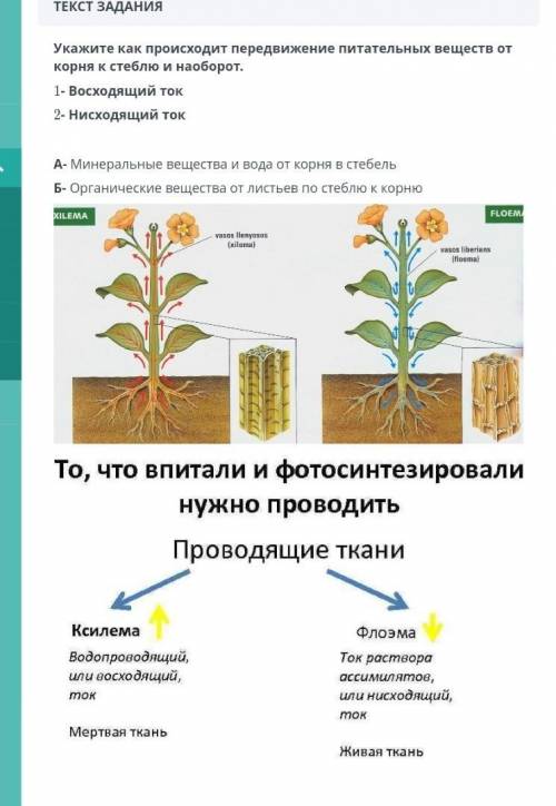 Укажите как происходит... У меня СОР быстрее, времени немного осталось​