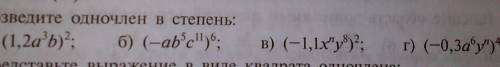 Возведите одночлен в степень