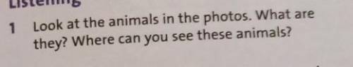 Listening 1 Look at the animals in the photos. What are и те англиски​