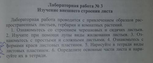 лабораторная работа N 3 изучение внешнего строения листакто правельно ответит тому лучший ответ пост