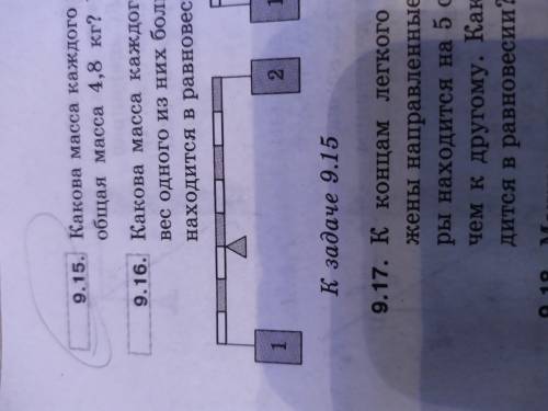 Какова масса каждого из грузов (см. рисунок), если их общая масса 4,8 кг? Рычаг находится в равновес