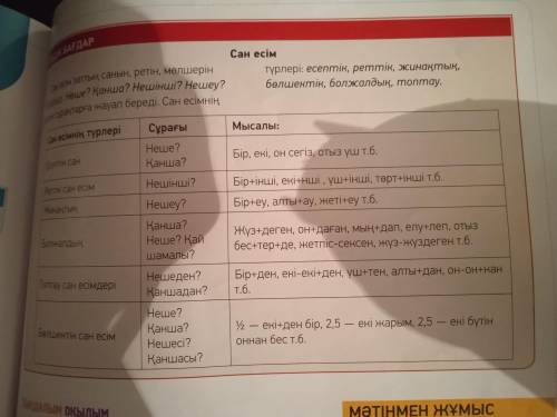 Написать 6 предложений числители по каз.яз