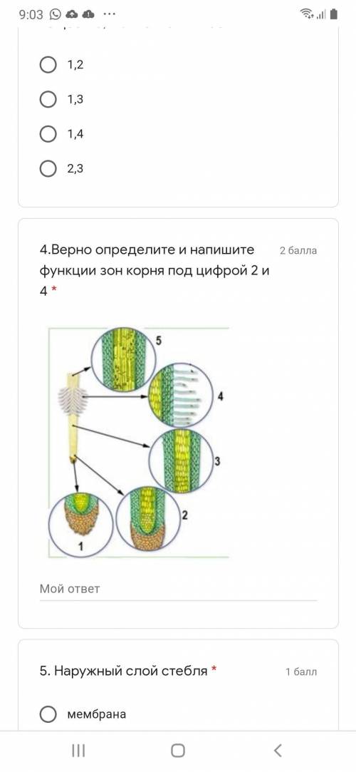 Укажите вещества, которые транспортируются из корней в листья растений: 1.Вода; 2.Кислород; 3.Минера