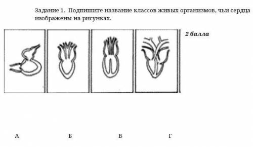 Задание 1. Подпишите название классов живых организмов, чьи сердца изображены на рисунках. ​