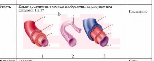 можете только если вы уверены на 100% в своём ответе ​