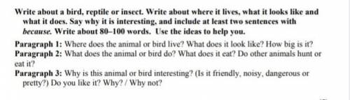 Напишите о птице, рептилии или насекомом Напишите о том где он живет, как выглядит и что делает Скаж