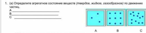 1. (а) Определите агрегатное состояние веществ (твердое, жидкое, газообразное) по движению част АBсА