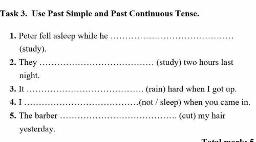 Use Past Simple and Past Continuous Tense.​