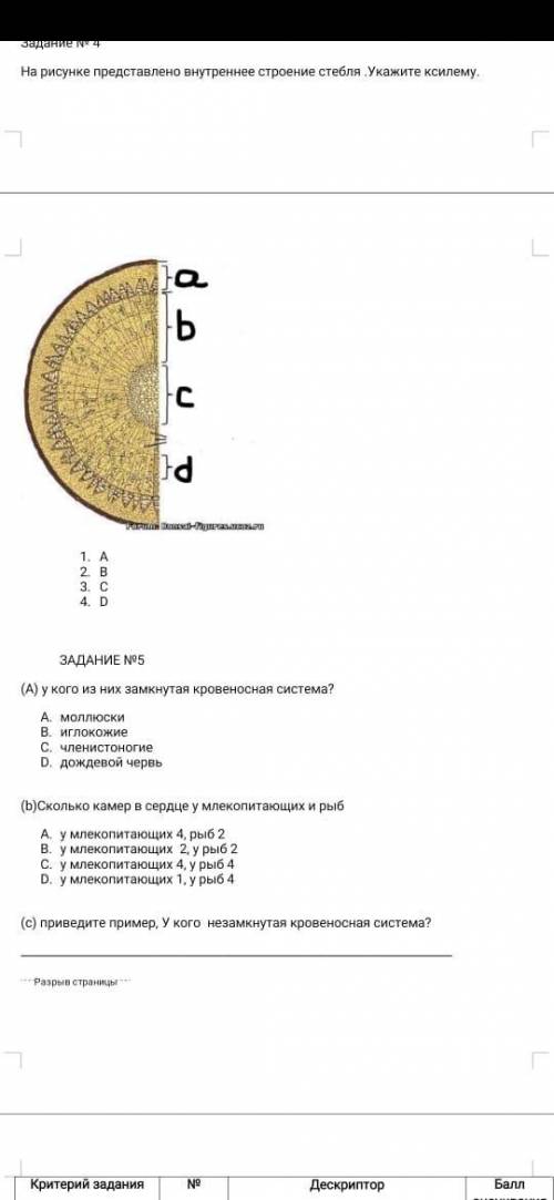 Сор 1,за вторую четверть 7класс хотя бы что сможете Даю 40б!