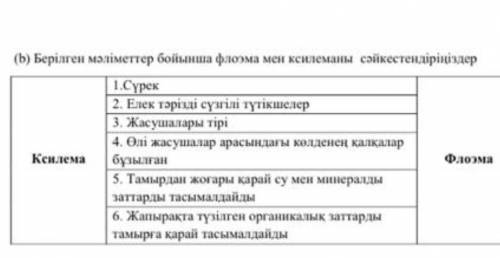 Ксилема га не жатат флоемага не жатат берем​