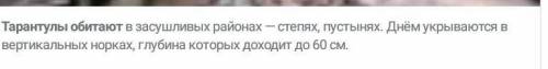 1. Где и как обитает каракурт? 2. Где и как обитает тарантул?3. Как построено тело сольпуги?4. Чем п