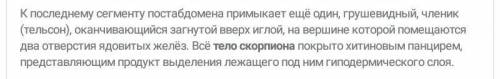 1. Где и как обитает каракурт? 2. Где и как обитает тарантул?3. Как построено тело сольпуги?4. Чем п