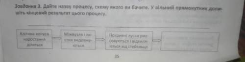 Кто знает , что нужно написать в свободном прямоугольнике?