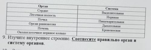 Изучить внутреннее строение брюхоногого моллюска. соотнесите правильно орган и систему органов​